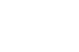 car-logo-vios-white